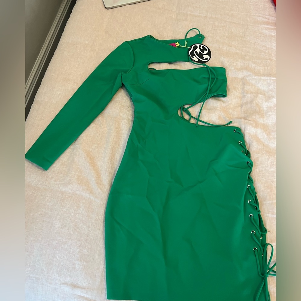 Tyler mcgillivary green holly dress
